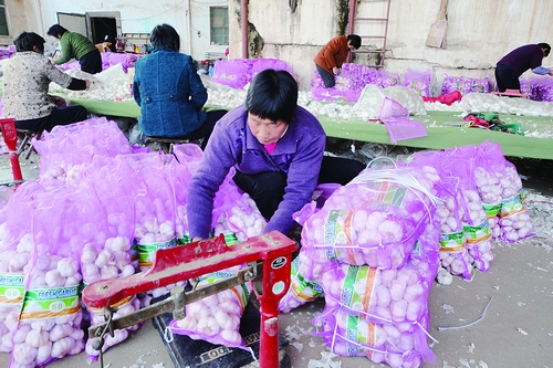 ɽ�������а�Ƥ���׼����ֲ����ũ�������¸�·