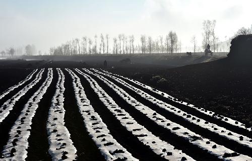 云南会泽春耕备耕忙