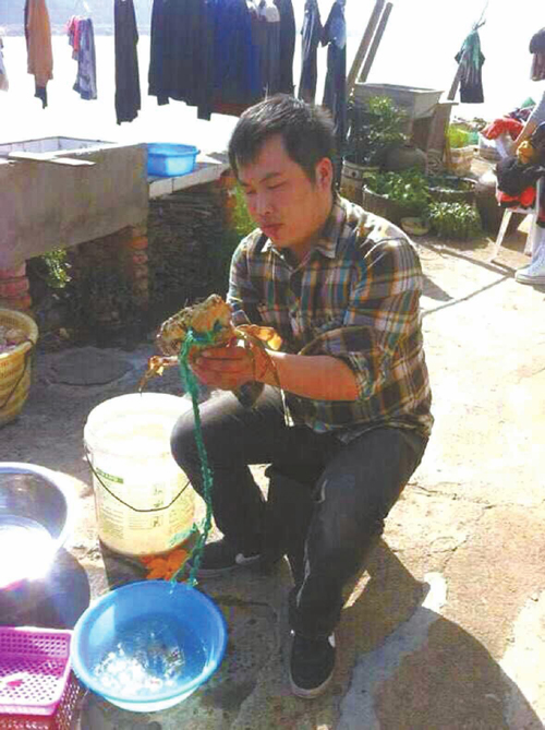 广西北海青蟹获丰收 农民乐开怀