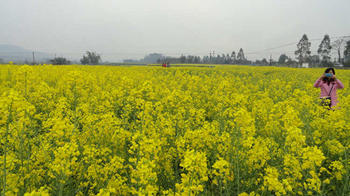 �����ڰ�����Ķ�Ͳ˻�����ʢ��