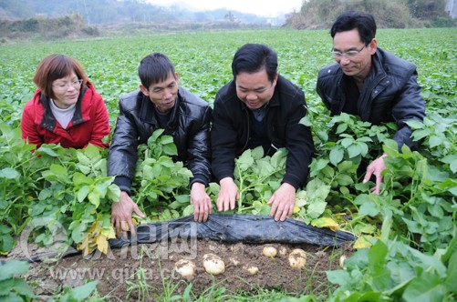 �����ֱ���11.8��Ķ��������������