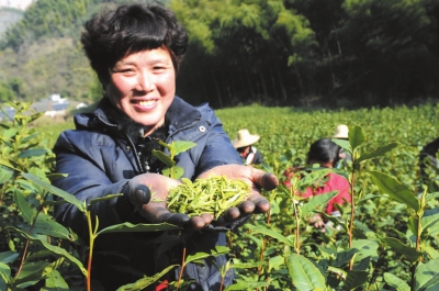 �㽭���壺�紺�²��ժæ