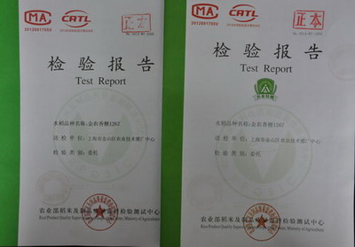 上海金山农技中心选育的水稻新品系金农香粳1267表现突出