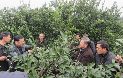 гºҪԸ̽ۡƷġΪŻȫ̽Ʒ֣߸̽Ʒ֪ȣʵӸũ롣