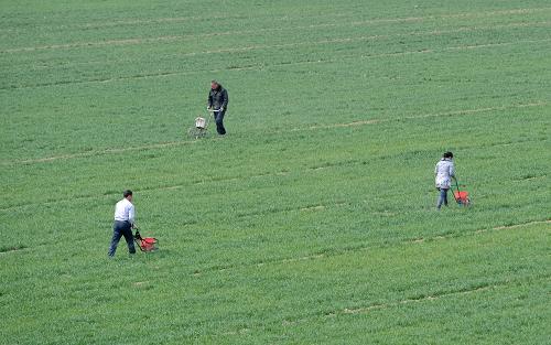 ����С��������