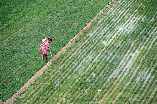 3��4�գ�����ʡ������ԭ���ص�һλũ�������ΪС��ˮ��