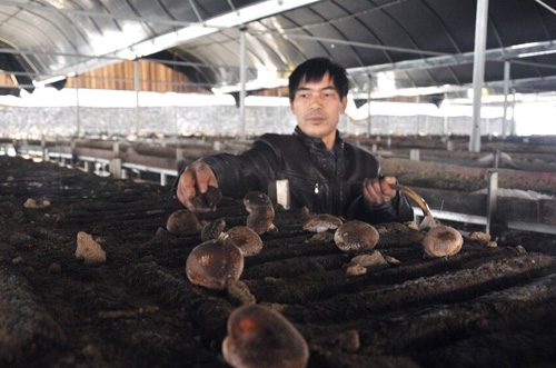 ǱɽũҵСĢ ɽ곤Ԫ