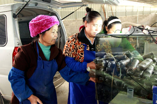 ƽ巢չɣ֦ʳþֵ300