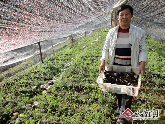 ���ϻ�ƺ���״γɹ�������Ǿ�ʾ����ֲ