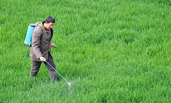 37գʡũСݼ紺ʱڣ𽥻ůũץũʱȫͶ봺ͷһɷæ