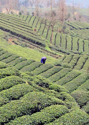 39գһũںʡʩаŽӴժ紺衣