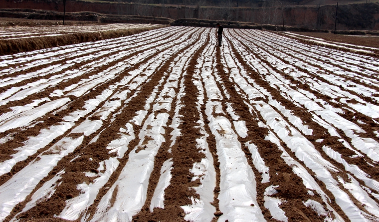 ������ɽ�سǹ����踲Ĥ��������߳�