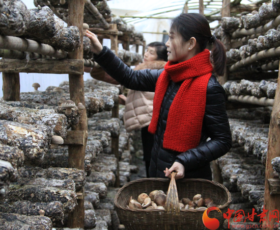 ���࿵������ũҵ�����������չʳ�þ���ɫ��ҵ