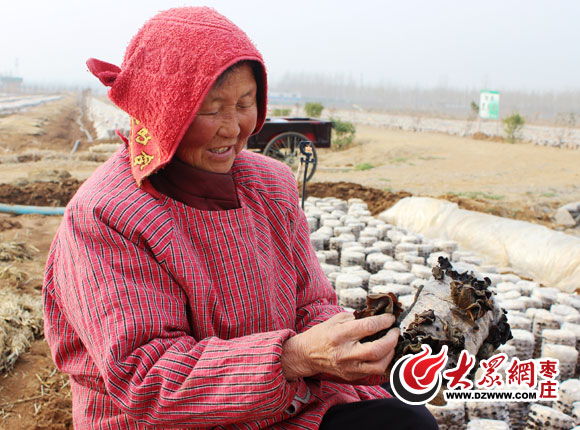 ɽ����ׯɽͤ����������Ժ�ľ������� ��ֵ����600��