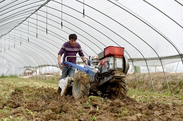 ���պϷ��а���������̬ũҵ��������