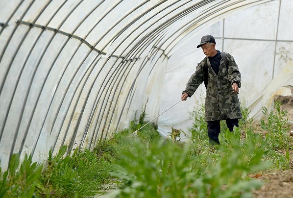 3��9�գ��Ϸ��а�������������̬ë�������ڣ�һλũ�����ڽ��д�����ֲǰɱ����ҵ��