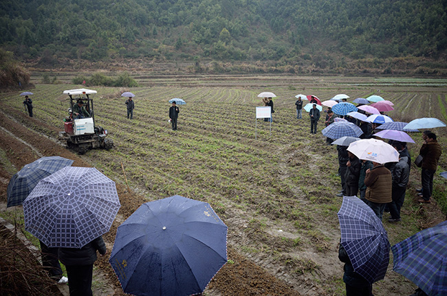 ������Ϫ�����·���ٴ���