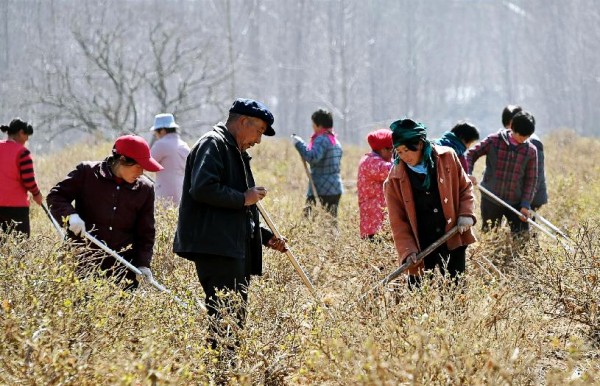ɽ��ƽ���أ�ũ����� ��������
