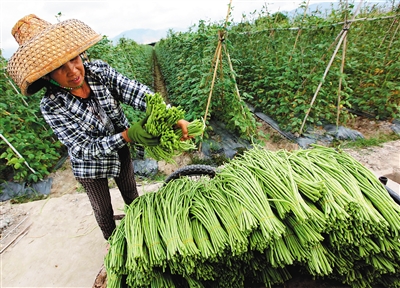 �������Ƕ��ֹϲ˳���������