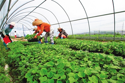 �������ǣ���ũ���ߣ�Ҫ�䵽����ͷ