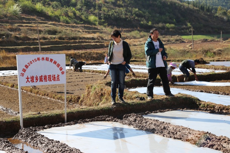 ����մ�����ٿ�ˮ�����������پ������ֳ���