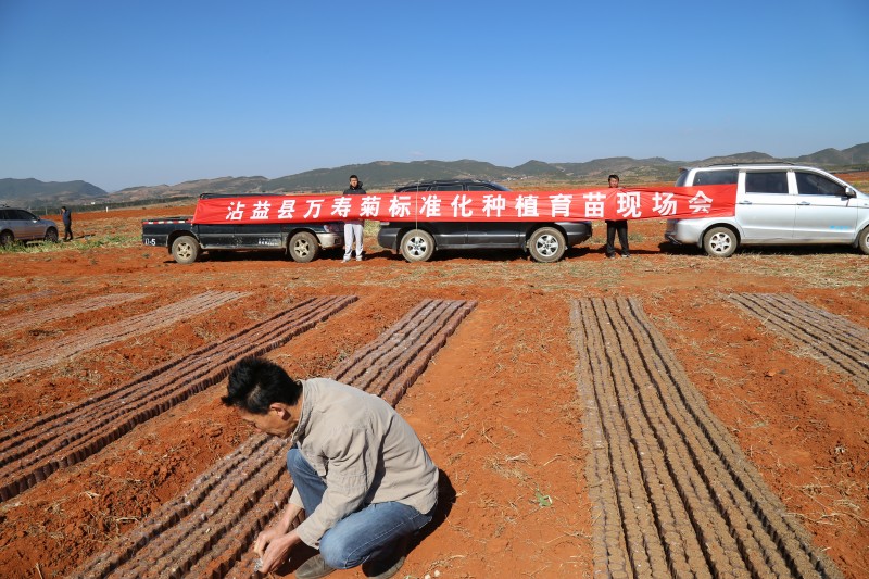 ����մ�����ٿ�ˮ�����������پ������ֳ���