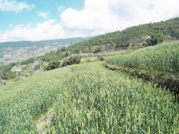 ����»���غ�ƽ��С���������