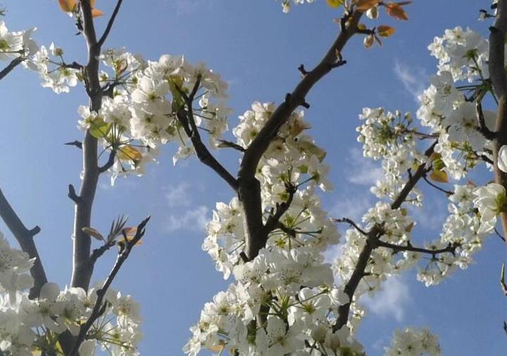 �����������滨ŭ��������