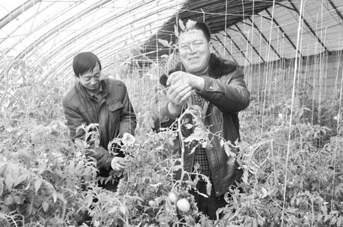 ���������з�չ��ʩũҵ