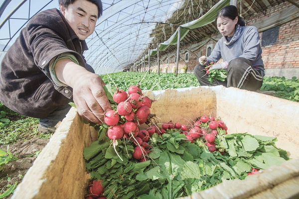 ����������������ز�ˮ�ܲ��߳����Ҵ���