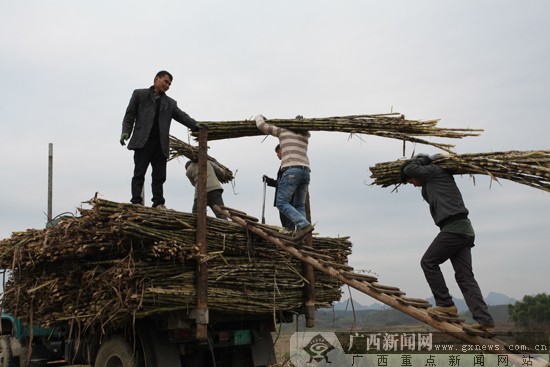 �����󻯸���ӭ�������� ��ե���ѿ�եԭ����21���