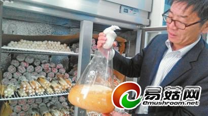 ��������ɽ�������㹽 �����������