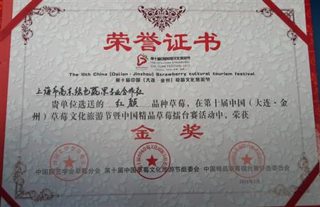 上海浦东草莓喜获中国精品草莓擂台赛金银奖