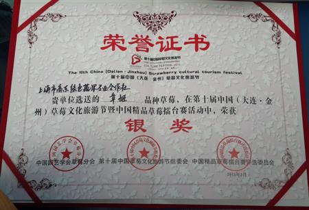 上海浦东草莓喜获中国精品草莓擂台赛金银奖2