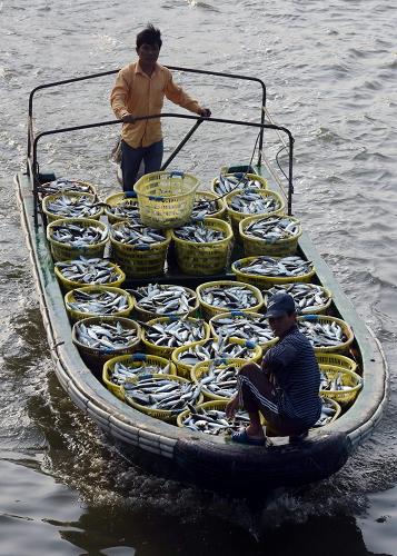 ���ϣ��Ϻ���������������