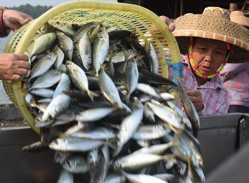 3��15�գ�����ʡ������̶�������������ͷװж���