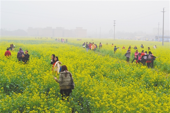 广东鹤山市双合镇乡村游热闹起来