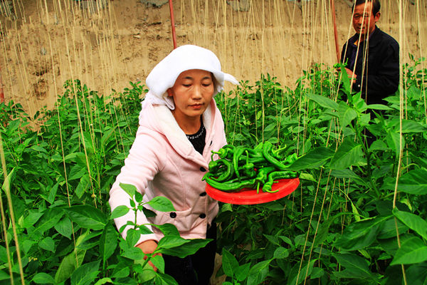 ������Ҵ����ɽ�������ֳ�������������