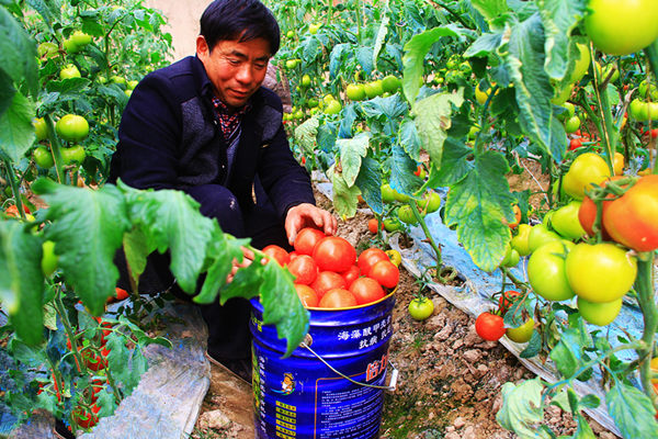 ������Ҵ����ɽ�������ֳ�������������2