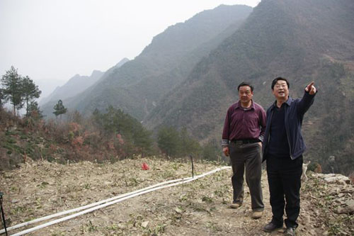 򰲣Ҷרҵ绤򰲲Ҷҵؿũ¸·2