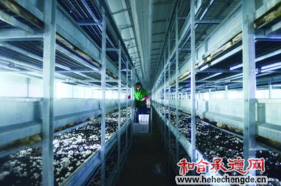 �ӱ��е·�չʳ�þ���ҵ