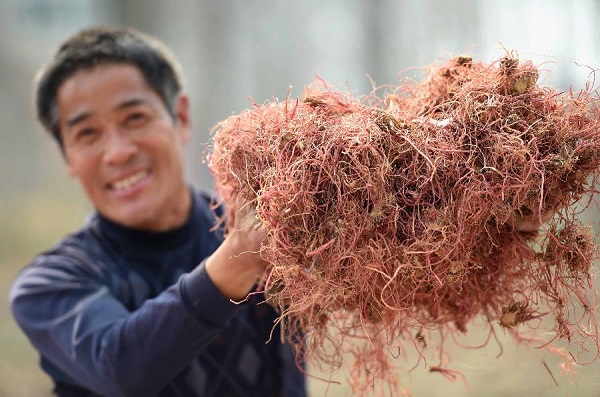 313գڰʡ۳¸ҩֲһҩũչʾջҩġ