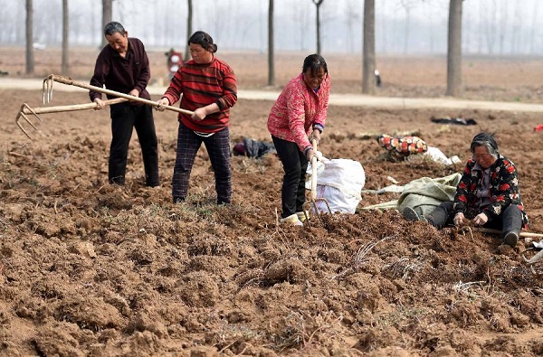 313գڰʡ۳¸ҩֲҩũջҩϵΡ