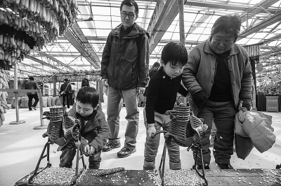 北京:农业嘉年华“好玩农业”夺眼球