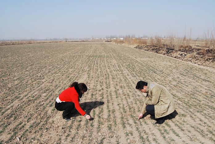 ������ͭϿ�ж���70����������