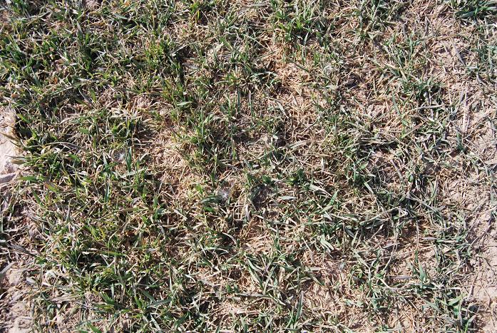 ������ͭϿ�ж���70����������2