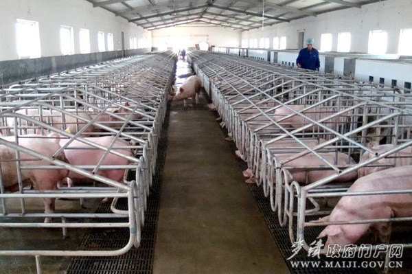 ������ˮ��������������������Ʒ�