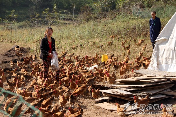 ������ˮ��������������������Ʒ�2