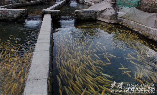 ������ˮ��������������������Ʒ�3