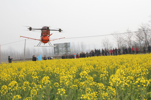 ���շʶ���ũ���ﲡ�溦ͳ��ͳ�����˻��������ǡ�